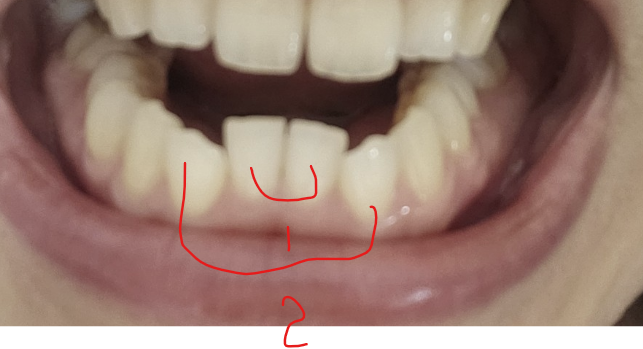 4ad524c676775f13b6d1a973713caa6a_1735513211_87.png