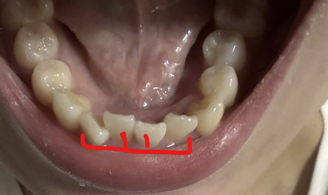 9477ad60d068ede7091ae17820882699_1763241667_66.png 9477ad60d068ede7091ae17820882699_1763241667_66.png